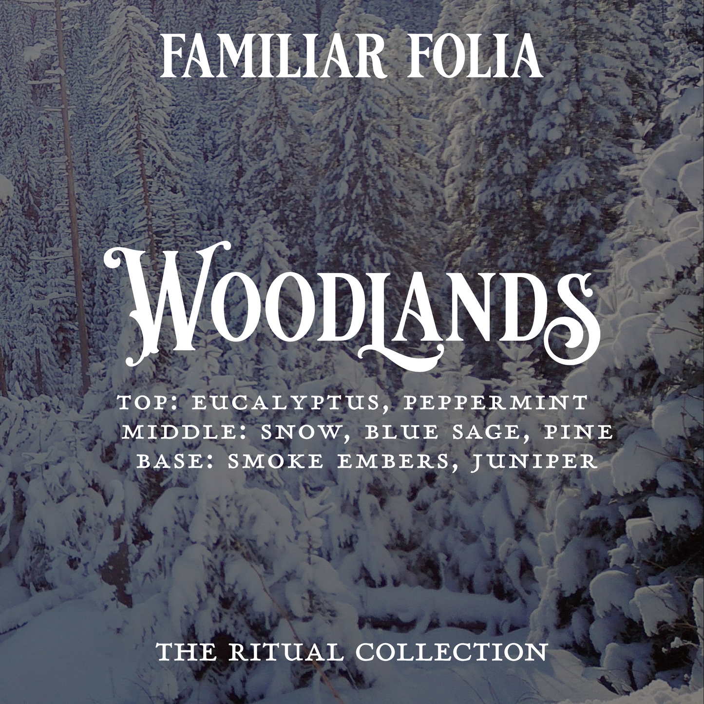 Wax Melts (The Hibernal Ritual Collection)